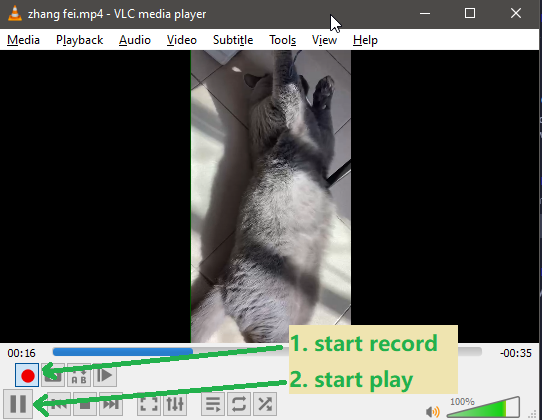 VLC Record and Play