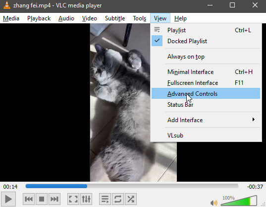 VLC View menu